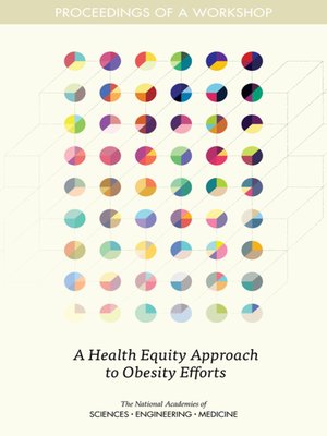 cover image of A Health Equity Approach to Obesity Efforts